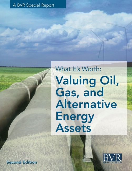 What Its Worth: Valuing Oil, Gas, and Alternative Energy Assets, Second Edition