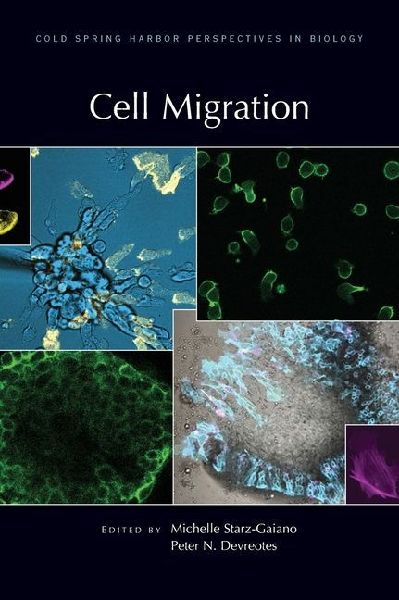Cell Migration