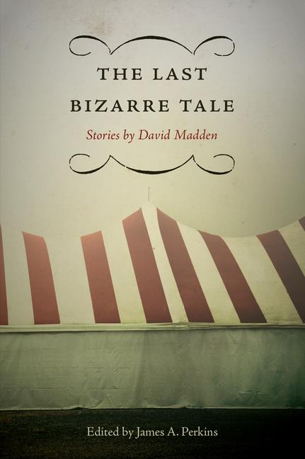 The Last Bizarre Tale: Stories