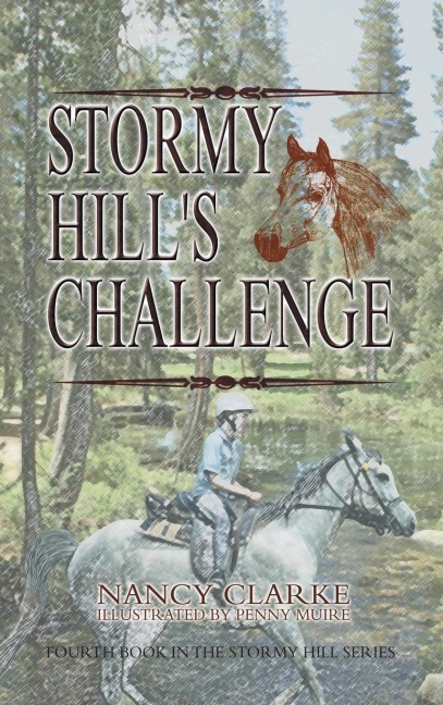 Stormy Hills Challenge
