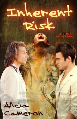 Inherent Risk A Hojer Slave Story