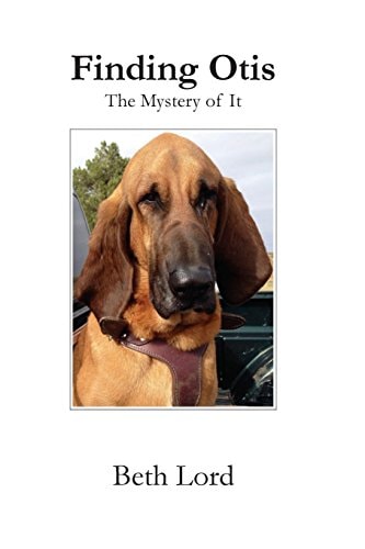 Finding Otis The Mystery of It