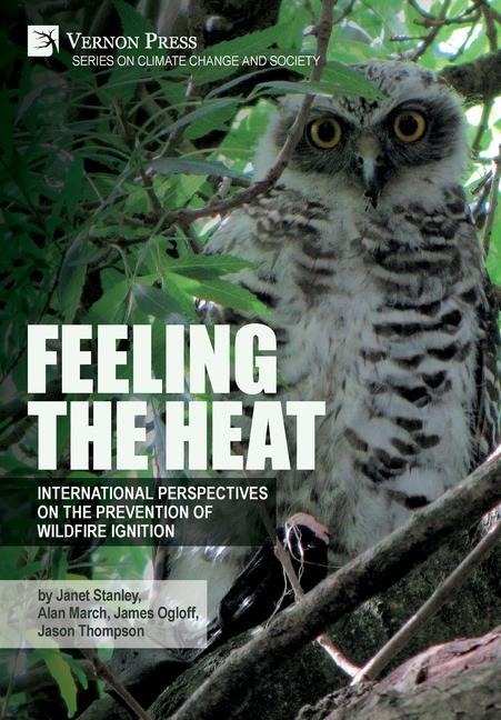 Feeling the heat: International perspectives on the prevention of wildfire ignition
