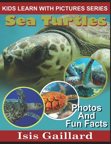 Sea Turtles Photos and Fun Facts for Kids