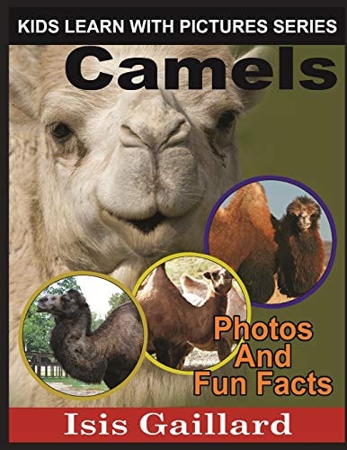 Camels Photos and Fun Facts for Kids