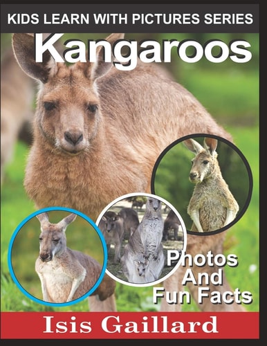 Kangaroos Photos and Fun Facts for Kids