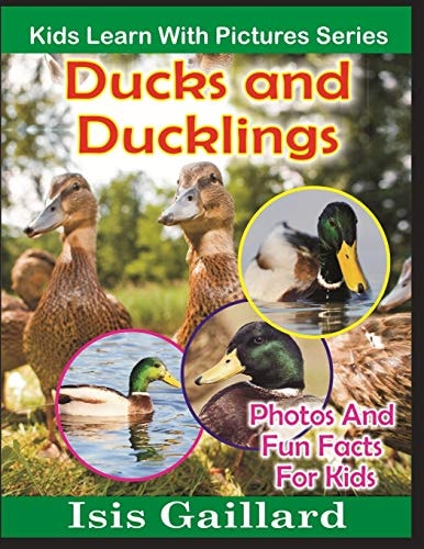 Ducks and Ducklings Photos and Fun Facts for Kids