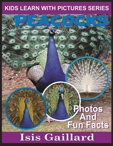 Peacocks Photos and Fun Facts for Kids