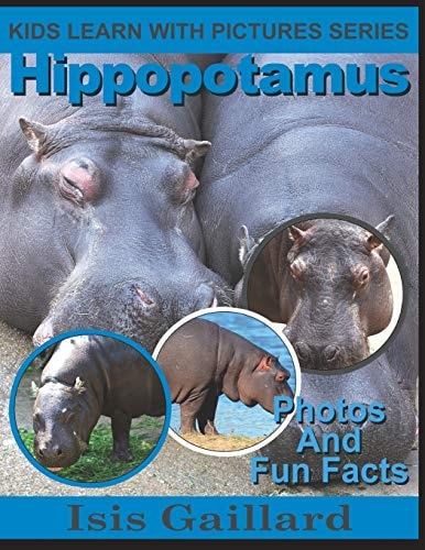 Hippopotamus Photos and Fun Facts for Kids