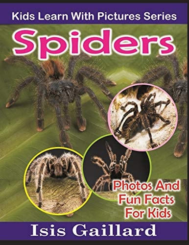 Spiders Photos and Fun Facts for Kids