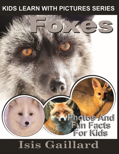 Foxes Photos and Fun Facts for Kids