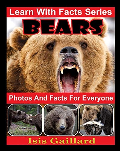 Bears Photos and Facts for Everyone Animals in Nature