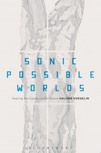 Sonic Possible Worlds Hearing the Continuum of Sound