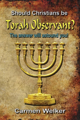 Should Christians Be Torah Observant? - the Workbook!