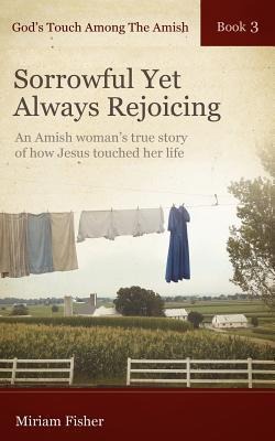 Gods Touch Among The Amish Book 3