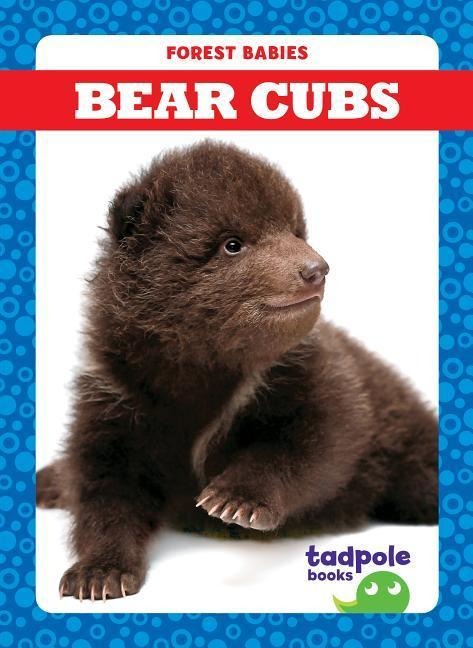 Bear Cubs