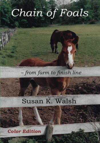 Chain of Foals Color Edition From Farm to Finish Line