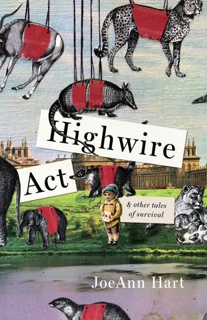 Highwire Act & Other Tales of Survival