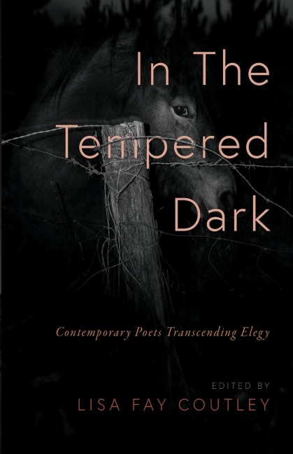 In the Tempered Dark