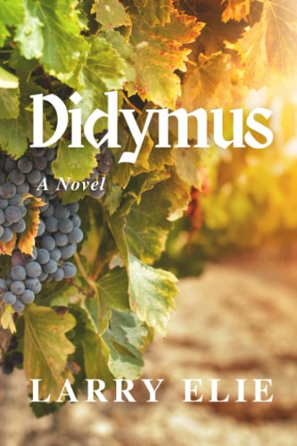 Didymus