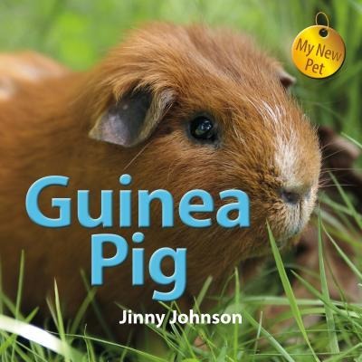 Guinea Pig