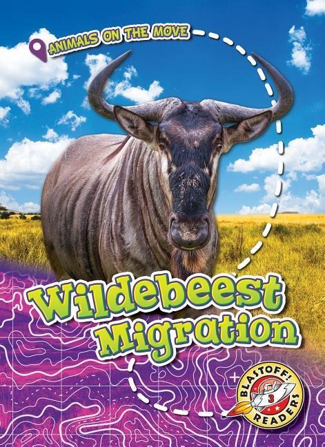 Wildebeest Migration
