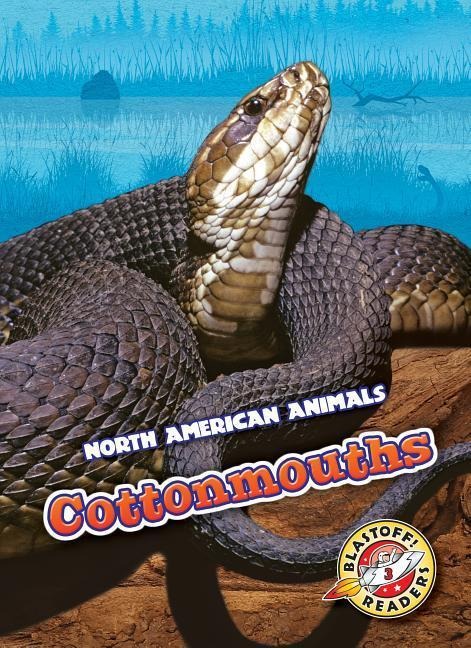 Cottonmouths