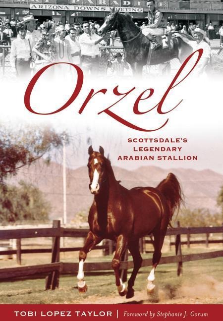 Orzel: Scottsdales Legendary Arabian Stallion