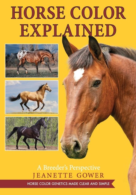 Horse Color Explained: A Breeders Perspective