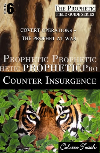 Prophetic Counter Insurgence Covert Operations - The Prophet at War
