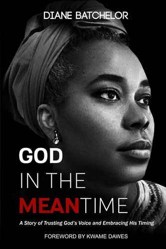God in the Meantime A Story of Trusting God's Voice and Embracing His Timing