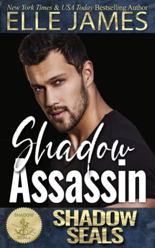 Shadow Assassin Shadow SEALs