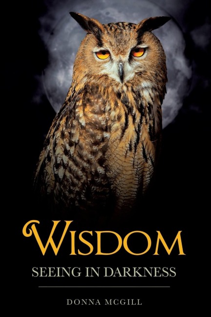 Wisdom Seeing in Darkness
