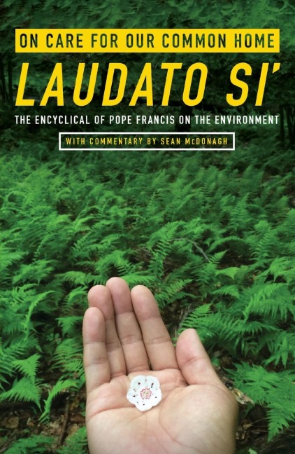 On Care for Our Common Home, Laudato Si': The Encyclical of Pope Francis on the Environment with Commentary by Sean McDonagh