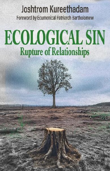 Ecological Sin: Rupture of Relationships
