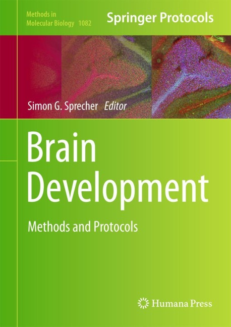 Brain Development: Methods and Protocols