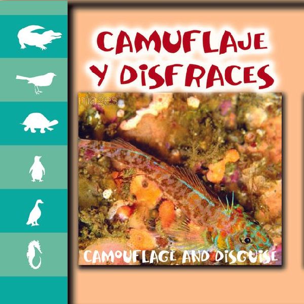 Camuflaje y disfraz