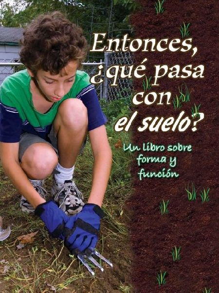 Entonces,  Que pasa con el suelo?