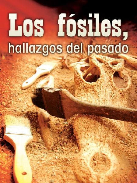 Los fosiles, hallazgos del pasado