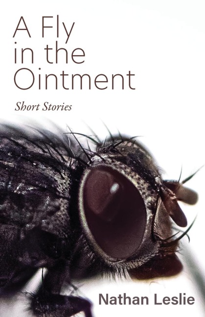 A Fly in the Ointment: Short Stories