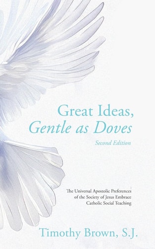 Great Ideas, Gentle As Doves The Universal Apostolic Preferences of the Society of Jesus Embrace Catholic Social Teaching