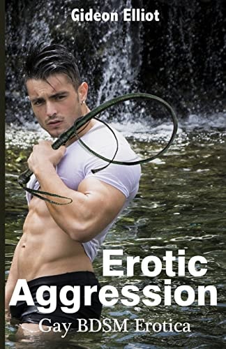 Erotic Aggression Gay Bdsm Erotica