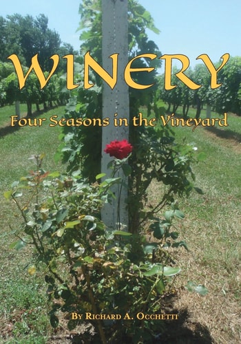 Winery Four Seasons in the Vineyard
