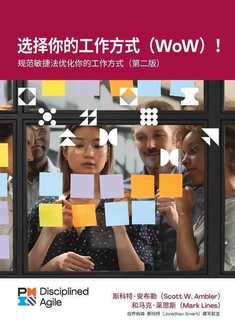 Choose Your Wow - Second Edition (Simplified Chinese): A Disciplined Agile Approach to Optimizing Your Way of Working