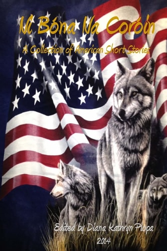 Ni Bona Na Coroin 2014: A Collection of American Short Stories