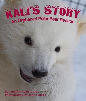 Kalis Story: An Orphaned Polar Bear Rescue