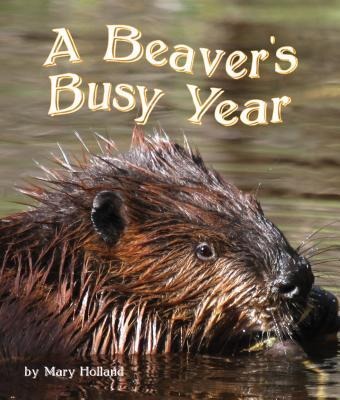 The Beavers Busy Year