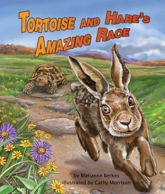 Tortoise and Hares Amazing Race