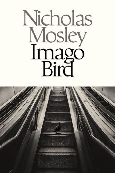 Imago Bird