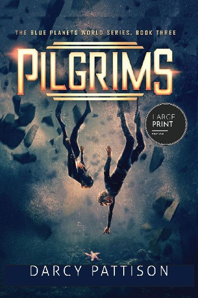 Pilgrims | Large Print
